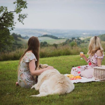 Bed and Breakfast Blizej Nieba Skrzydlna Экстерьер фото