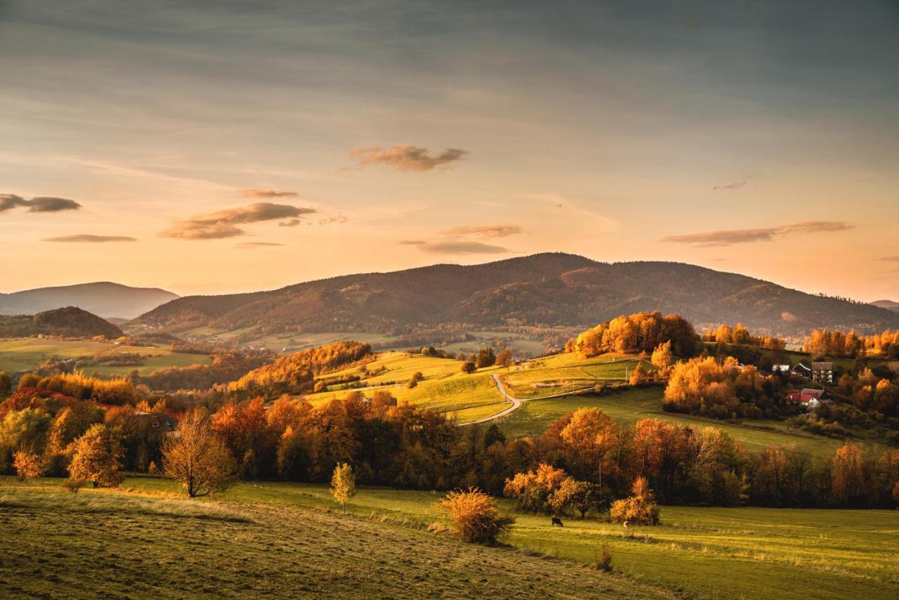 Bed and Breakfast Blizej Nieba Skrzydlna Экстерьер фото