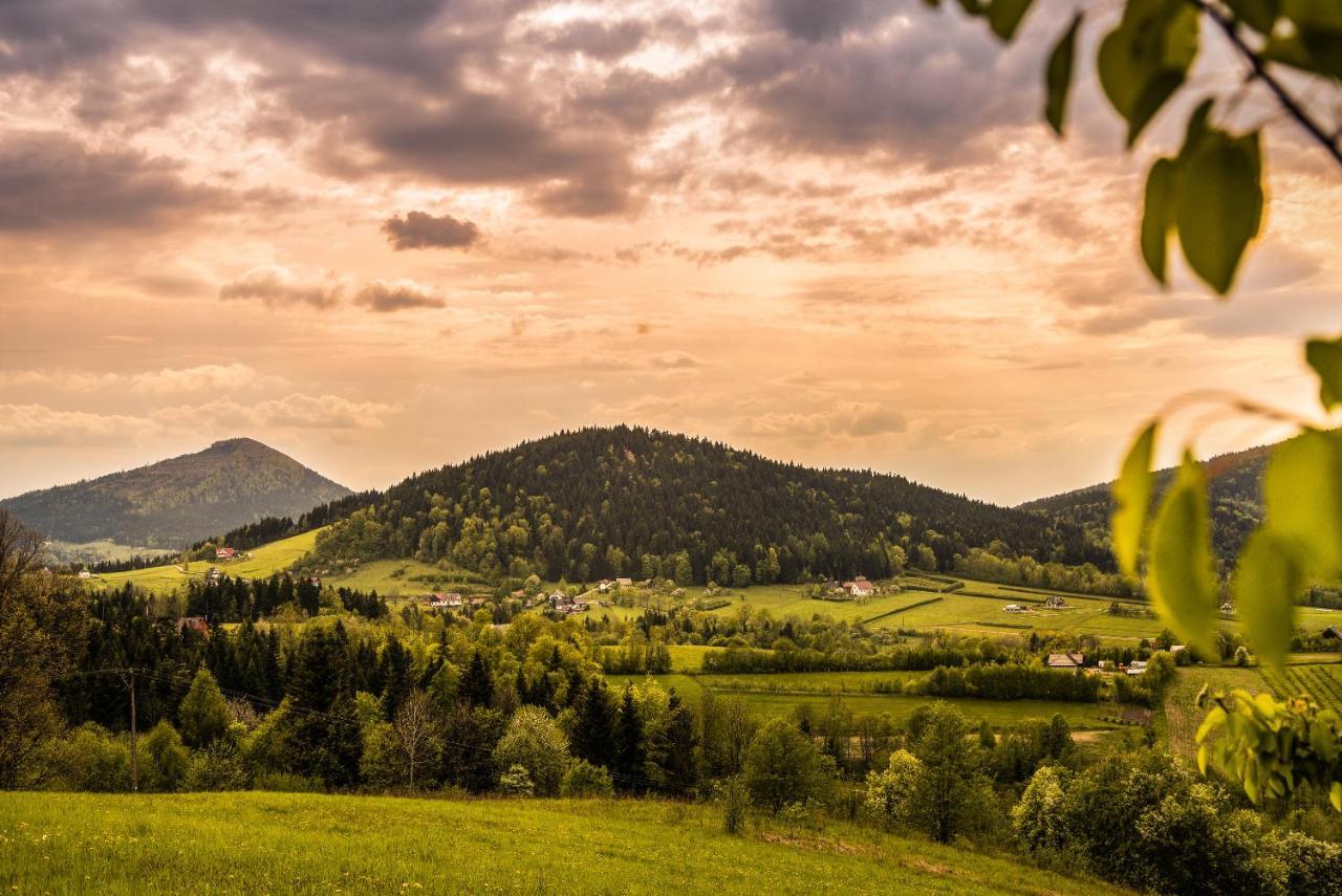 Bed and Breakfast Blizej Nieba Skrzydlna Экстерьер фото